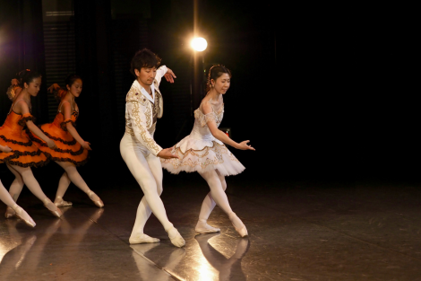 Contemporary Ballet Fusion Image